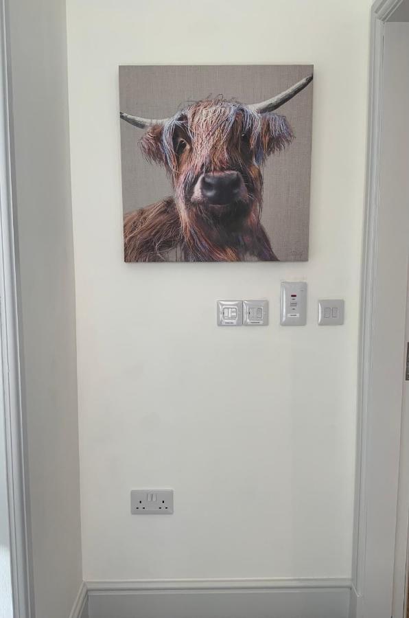 Deeside Snugs Apartments Kincardine O'Neil Esterno foto